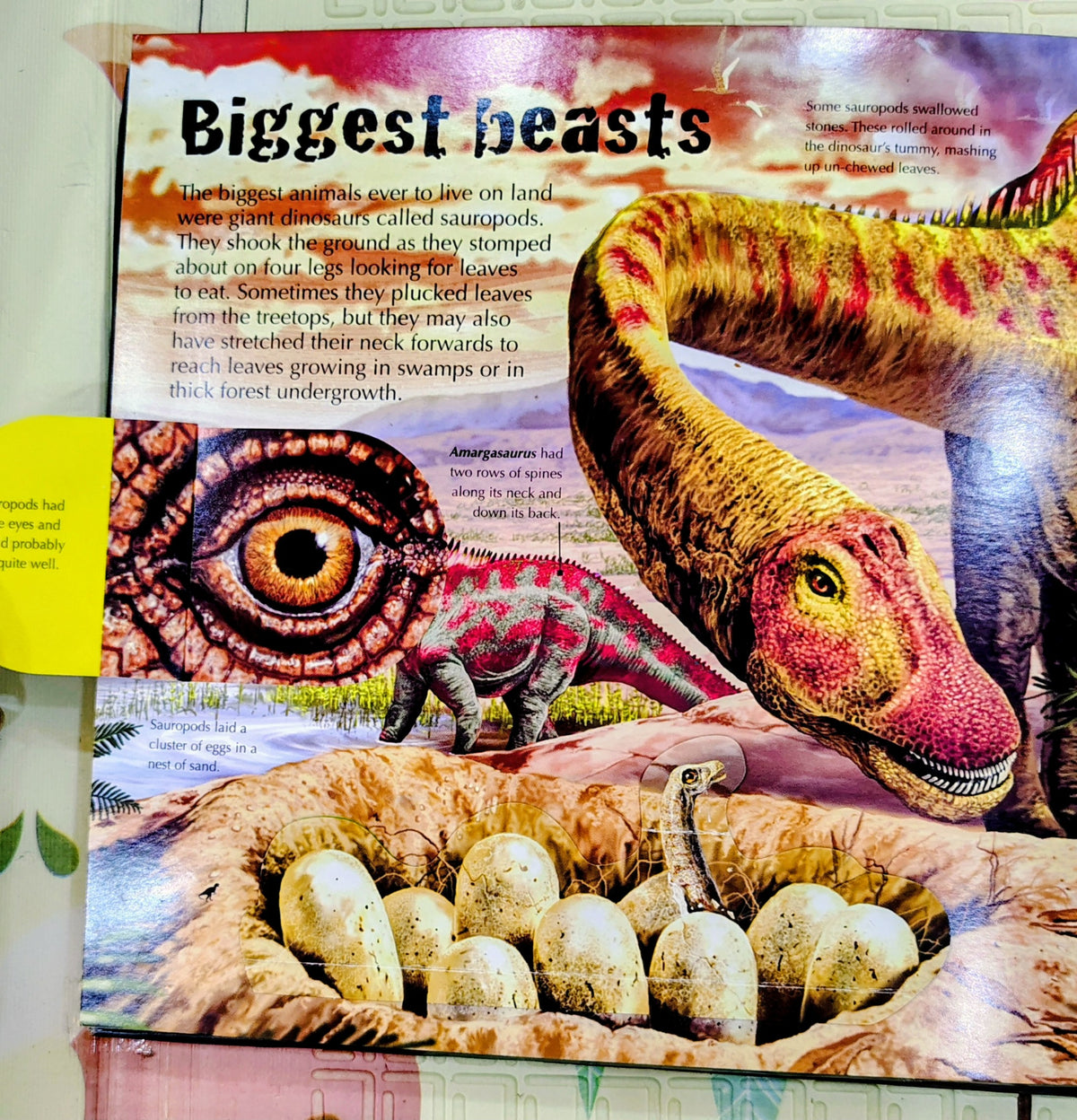 Dinosaurs | Magnifying Glass inside and Lots of Flaps to Lift