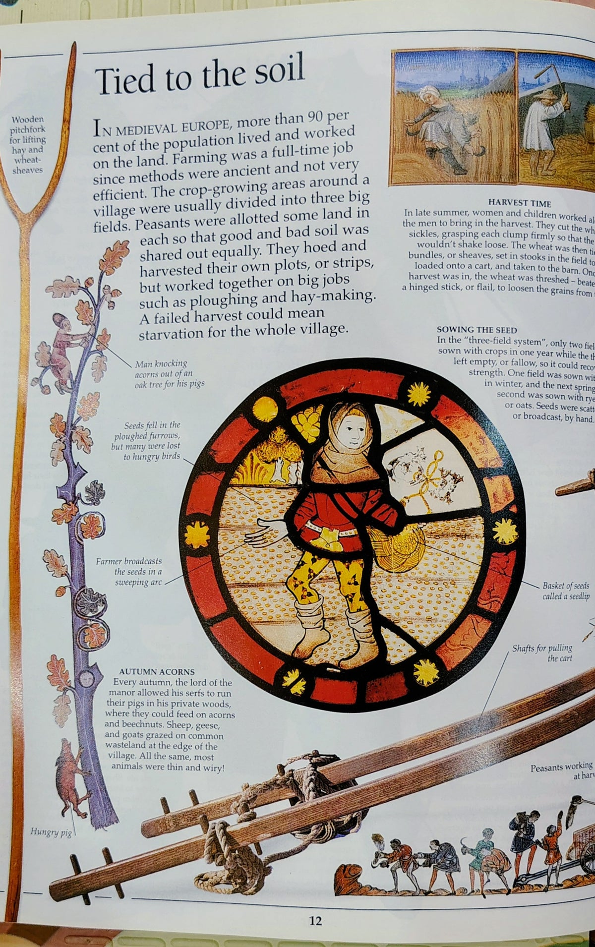 Medieval Life by DK Eyewitness | See and Discover