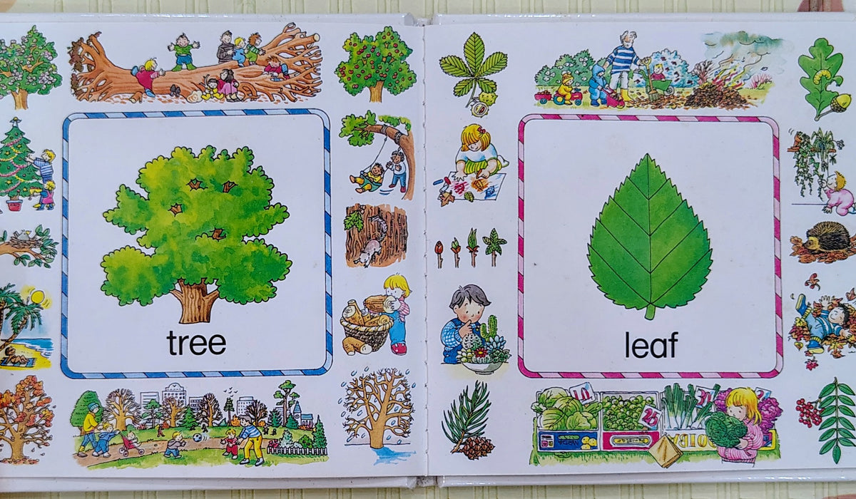 Outdoor Words by Sue Stitt | Usborne Early Reading
