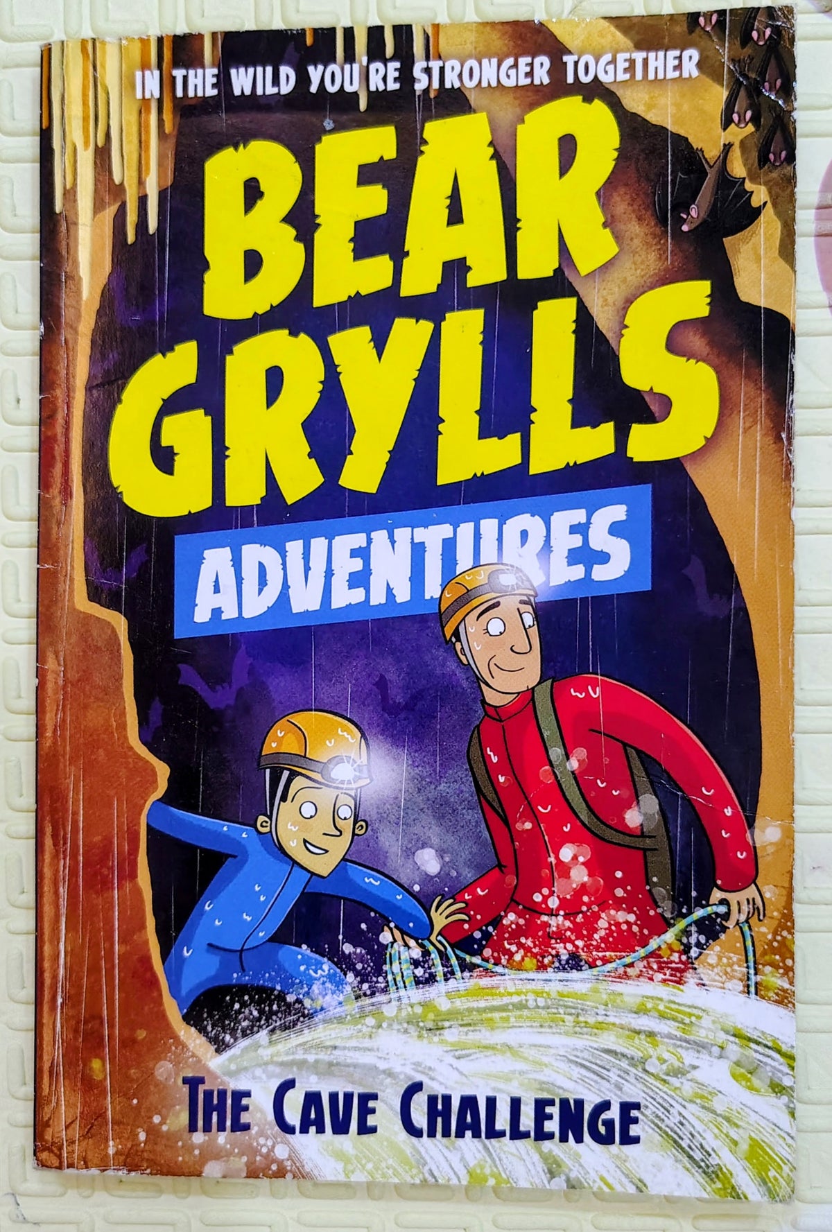 Bear Grylls Adventures: The Cave Challenge