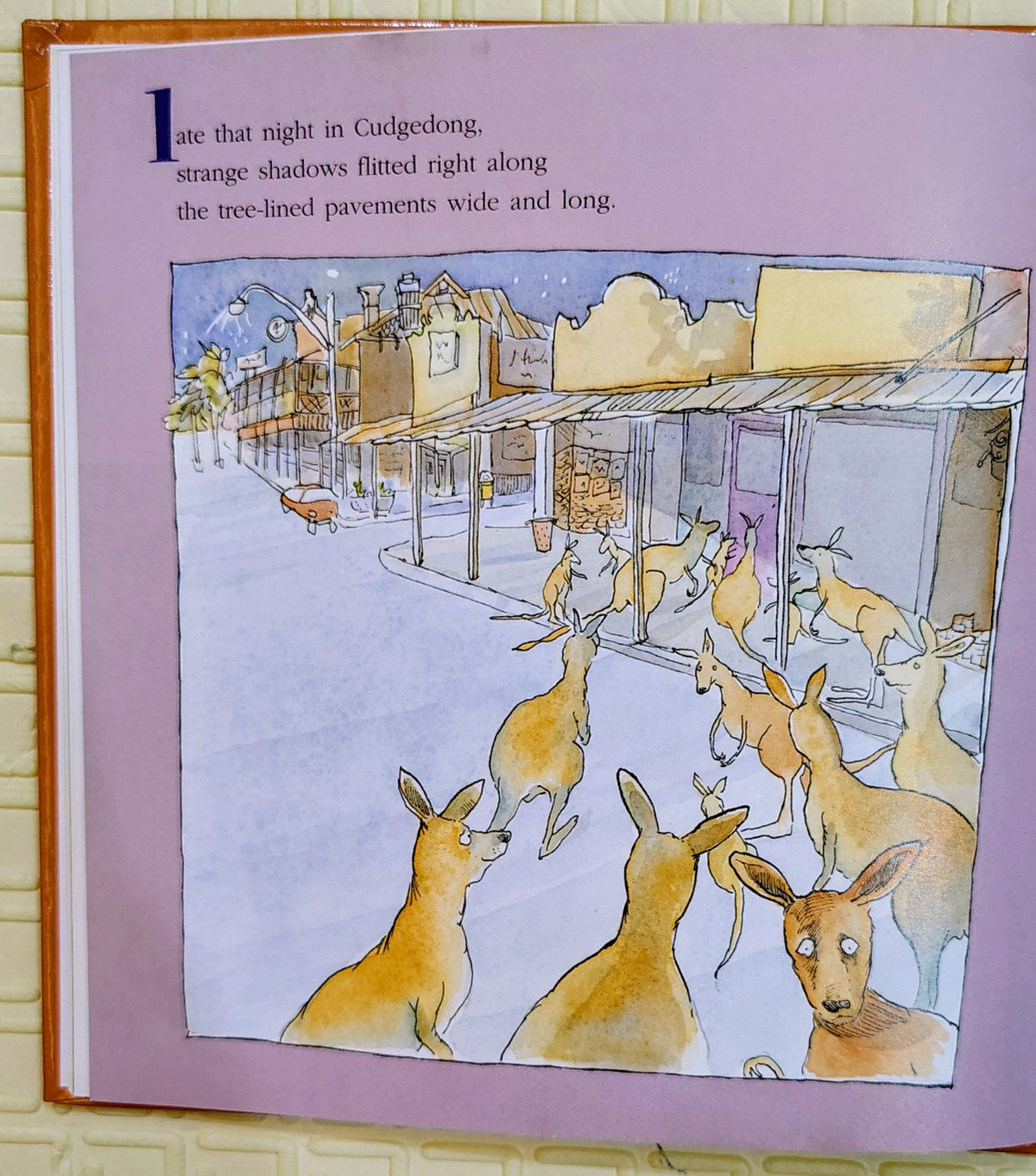 Roos in Shoes by Tom Keneally | Random House Mini Book