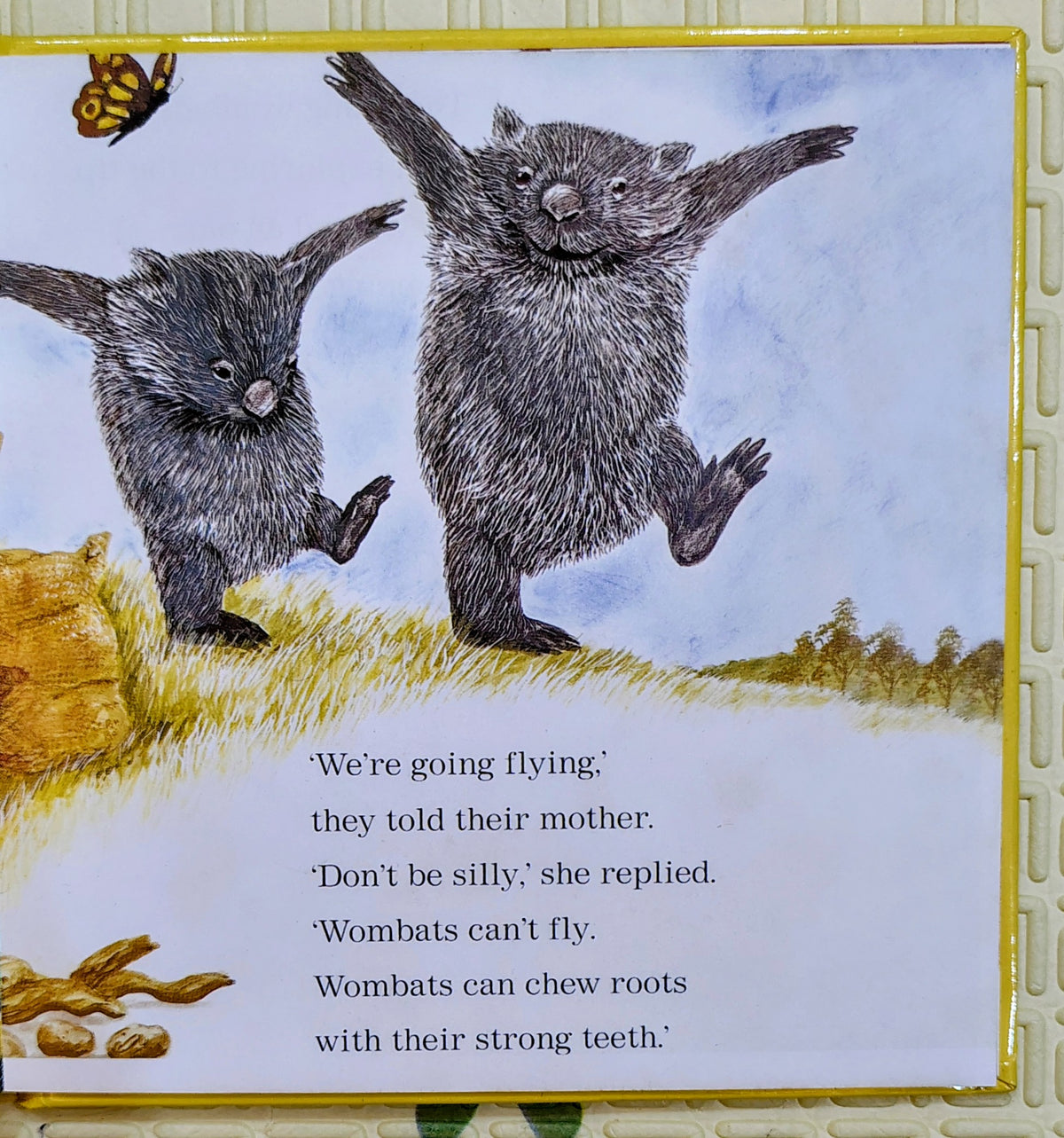 Wombats Can't Fly by Michael Dugan | Random House Mini Book