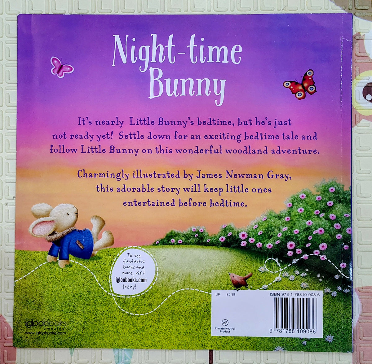 Night-time Bunny by Melanie Joyce | IglooBooks