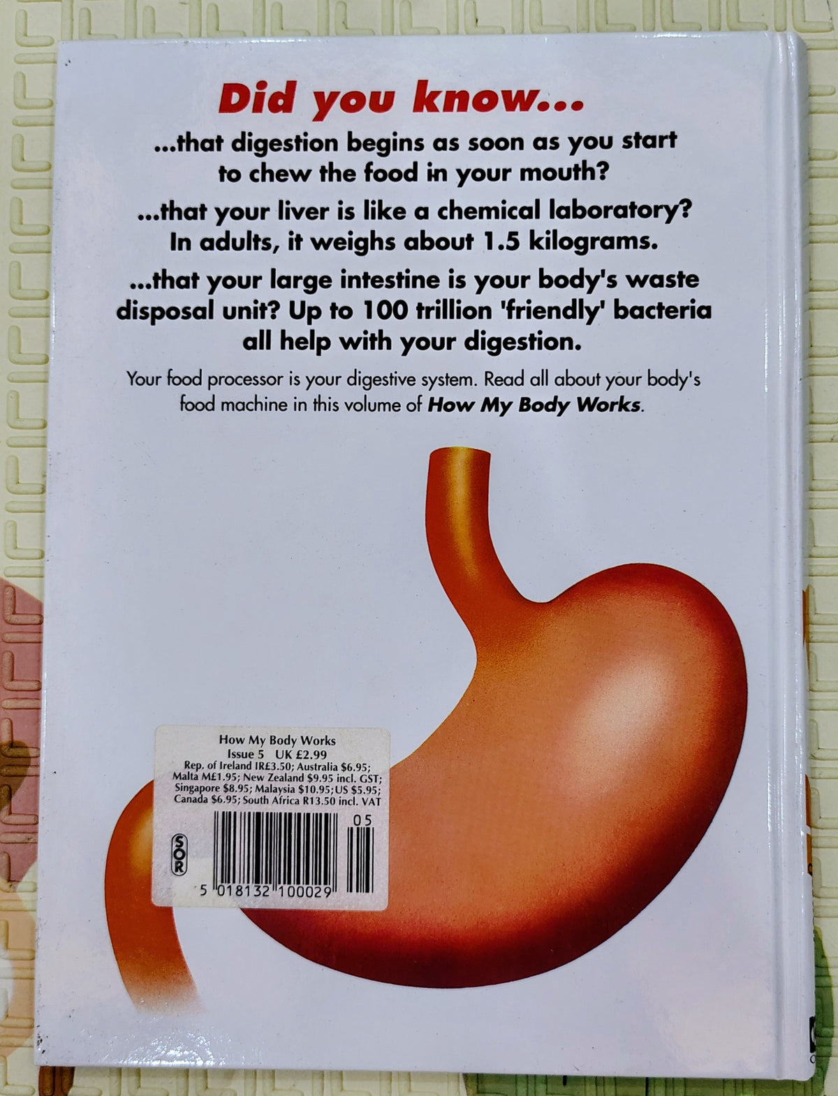 How My Body Works: Digestion | Orbis Play & Learn