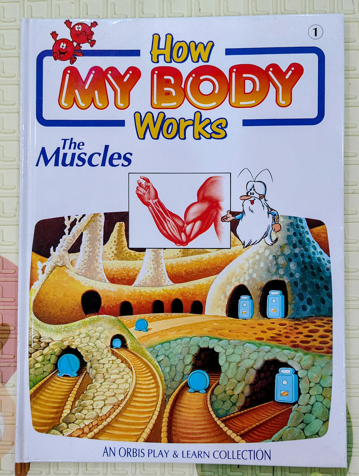 How My Body Works: The Muscles | Orbis Play and Learn