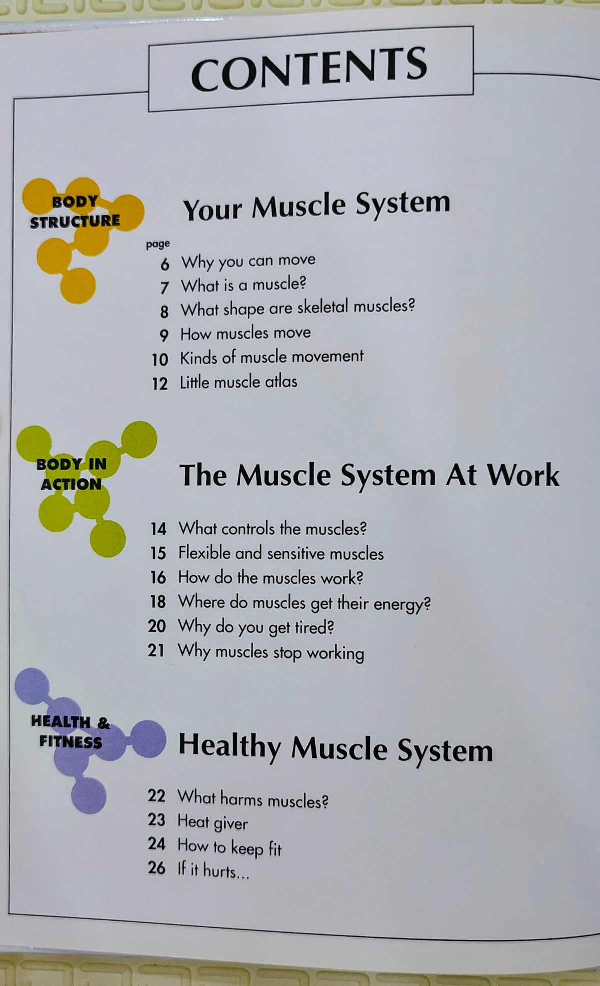 How My Body Works: The Muscles | Orbis Play and Learn