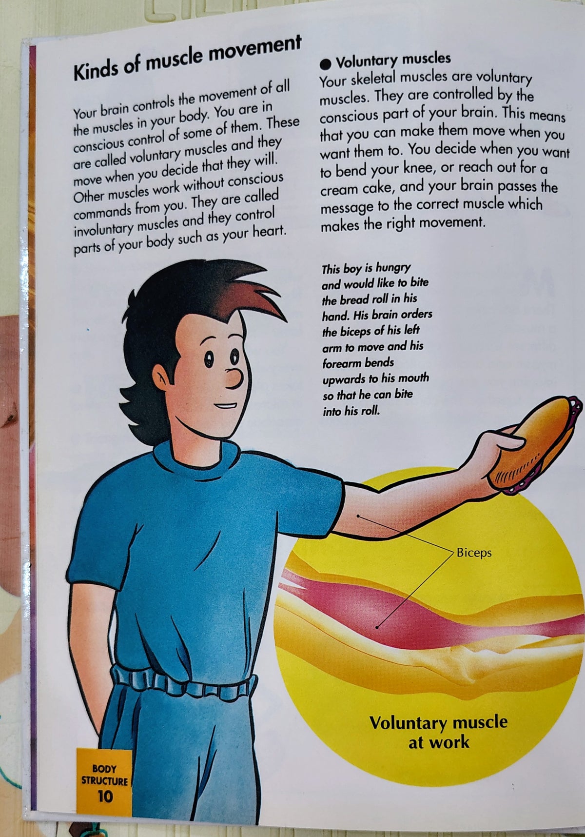 How My Body Works: The Muscles | Orbis Play and Learn