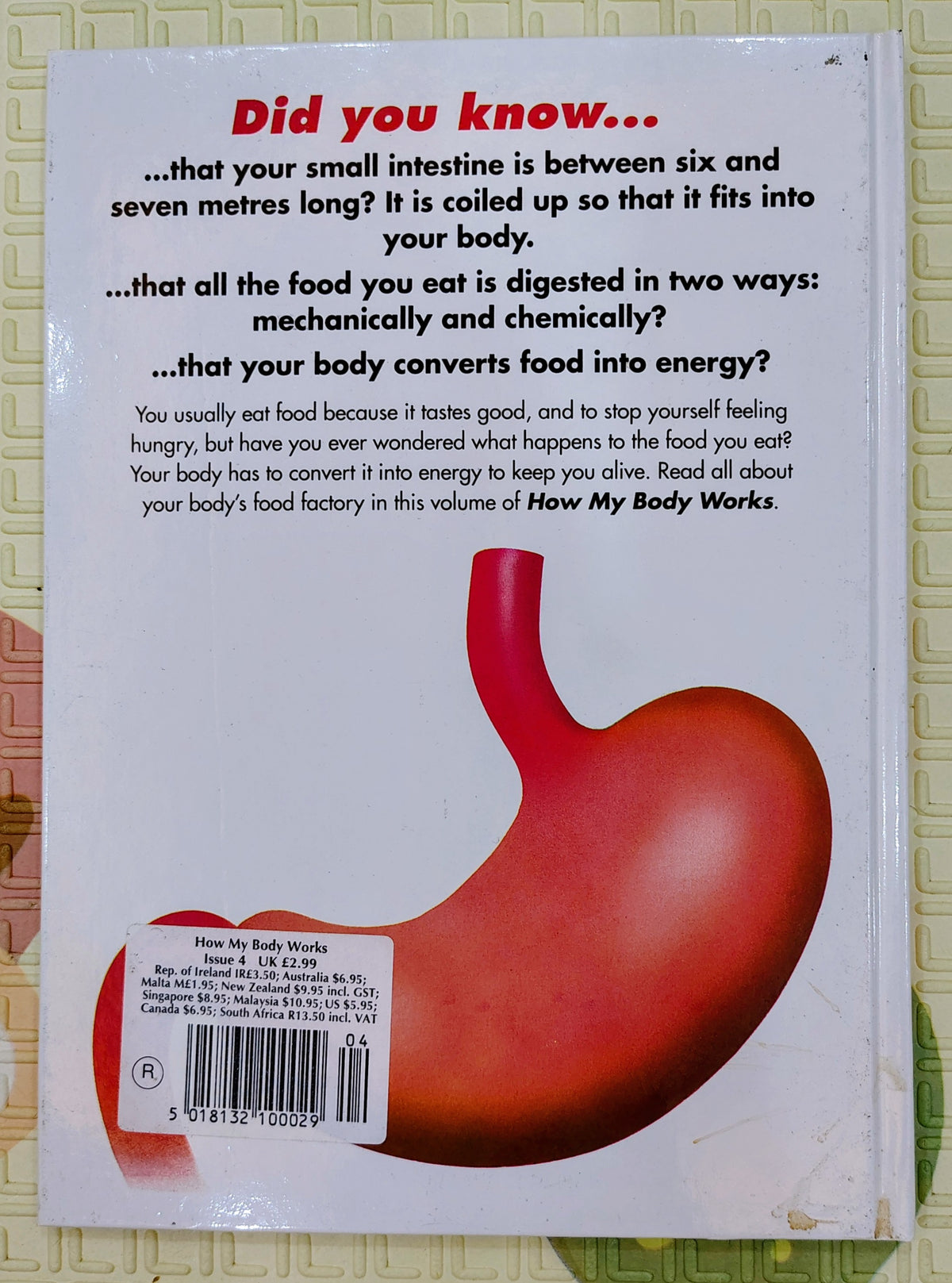 How My Body Works: Eating | Orbis Learn and Play