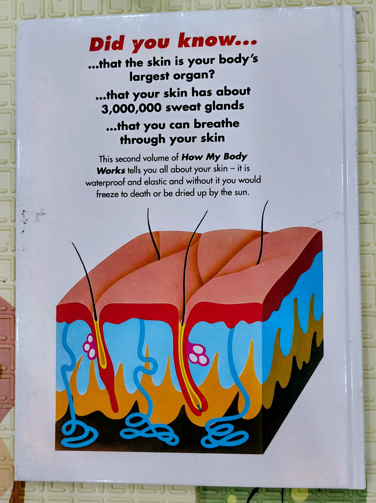 How My Body Works: The Skin | Orbis Learn and Play