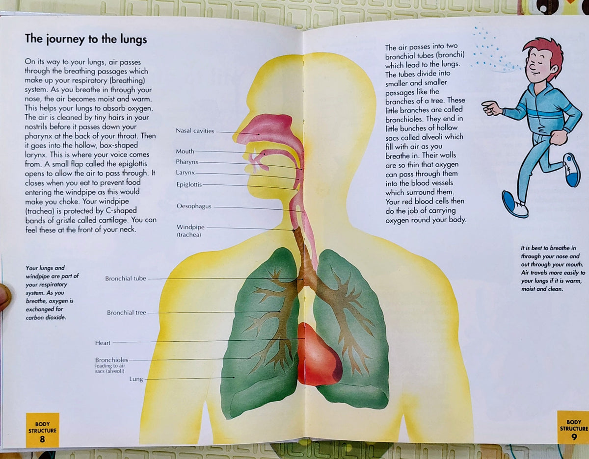 How My Body Works: Breathing | Orbis Learn and Play