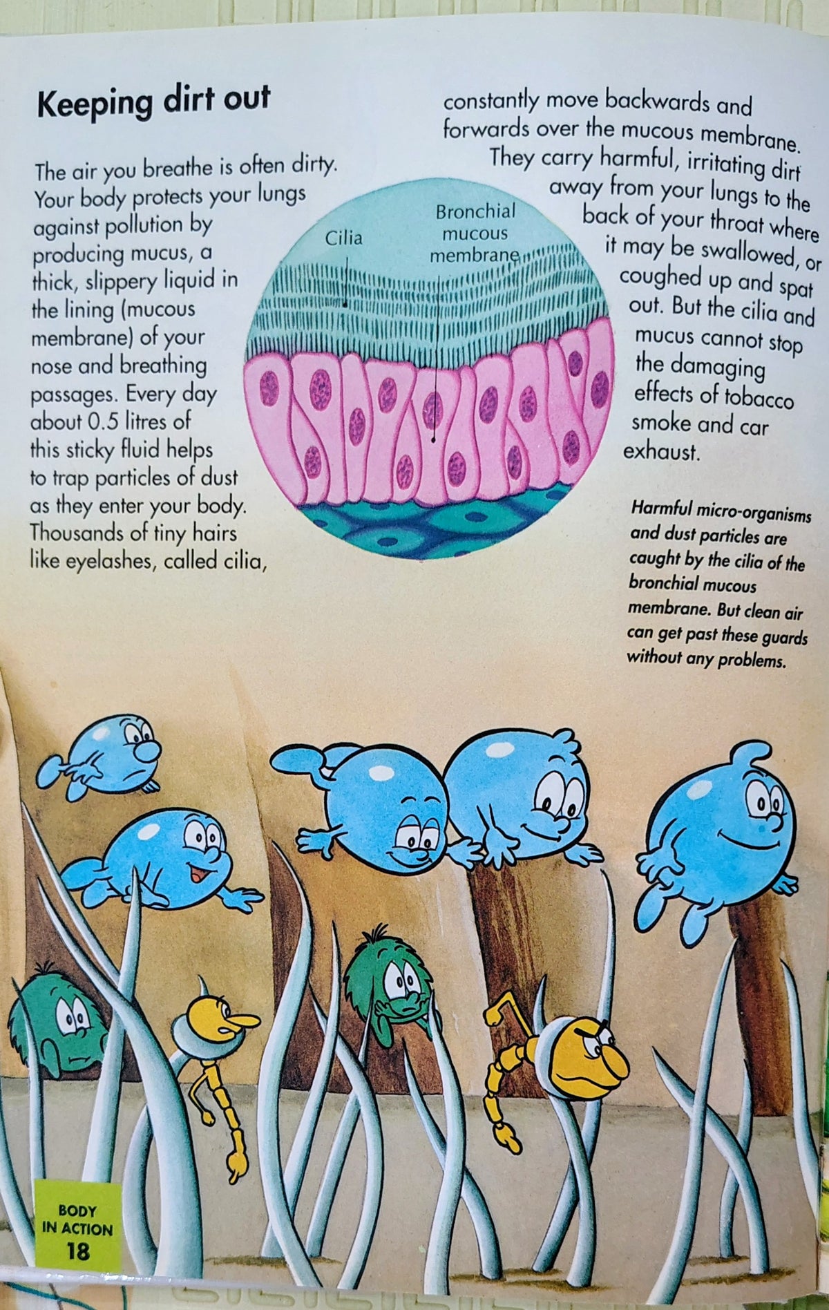 How My Body Works: Breathing | Orbis Learn and Play