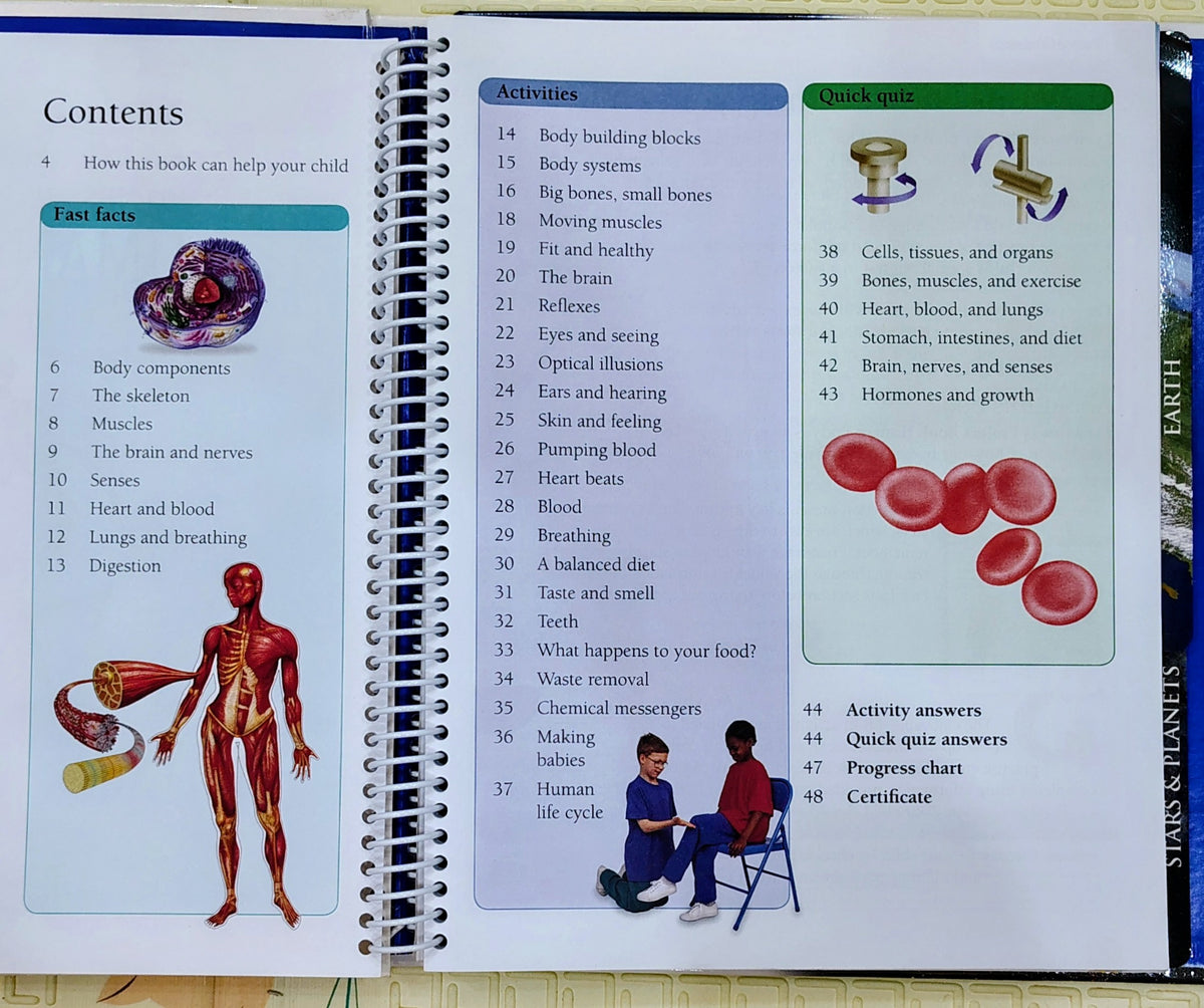 DK Eyewitness Projects: Human Body, Earth, Stars & Planets