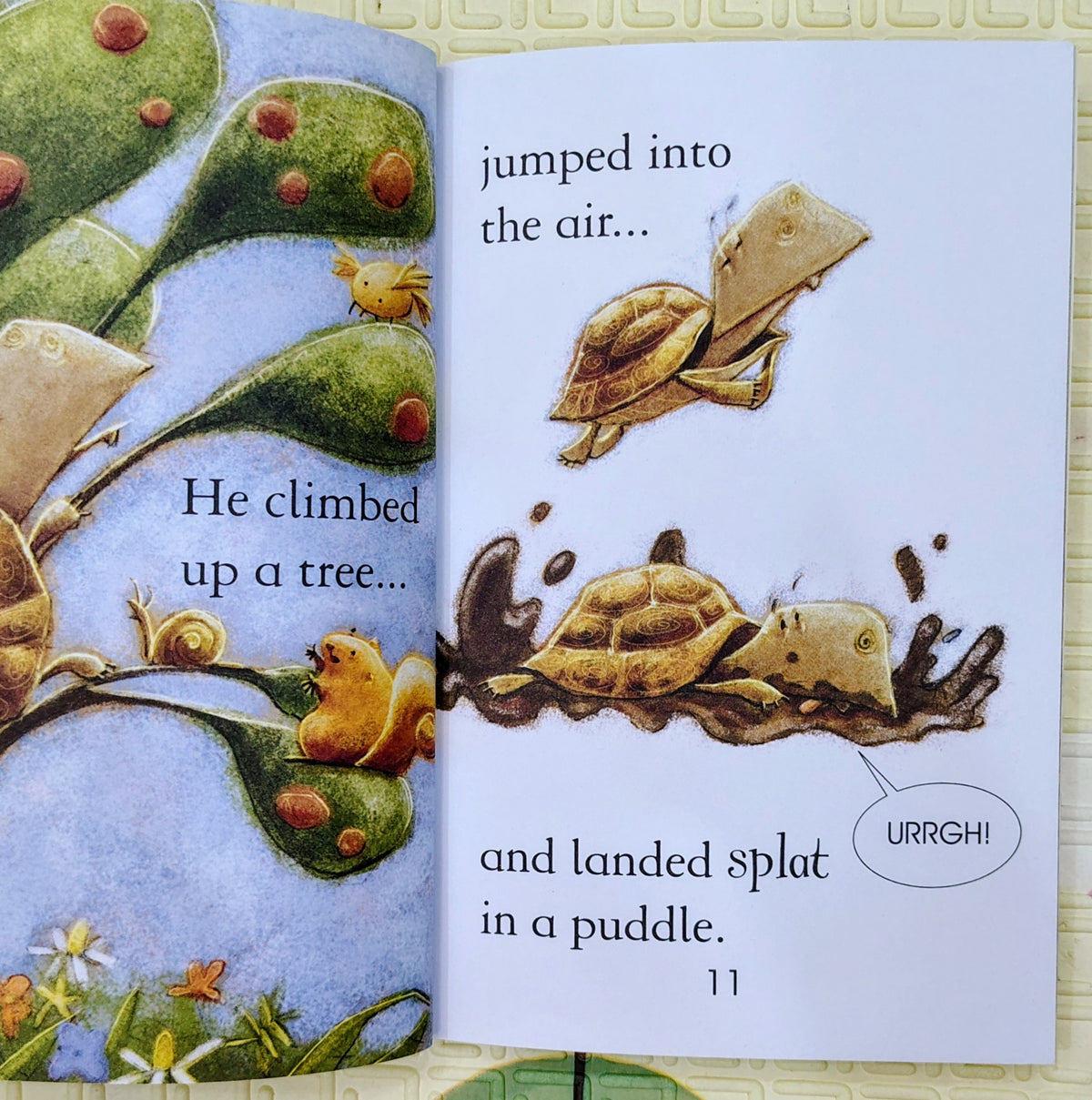 The Tortoise and the Eagle by Rob Lloyd Jones | Usborne Young Reading
