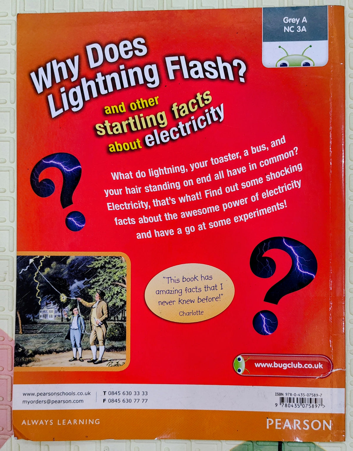 Why Does Lightning Flash? by Angela Royston | Facts about Electricity