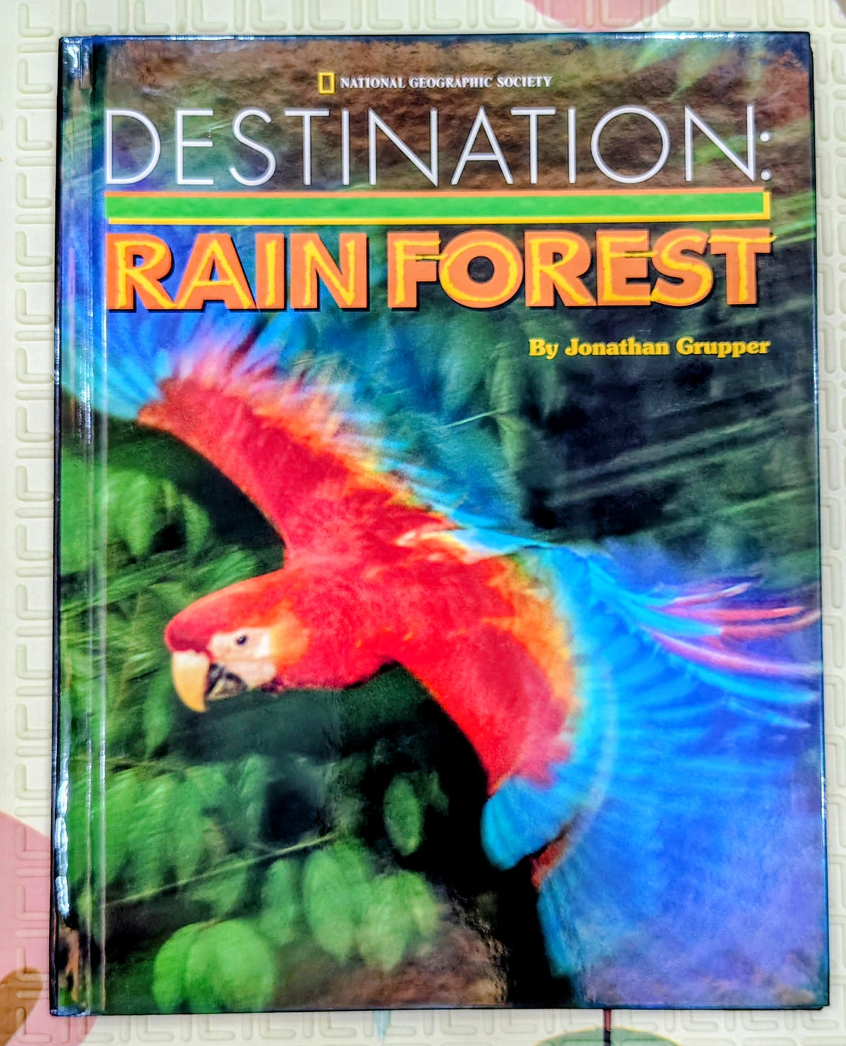 Destination: Rainforest by Jonathan Grupper | National Geographic