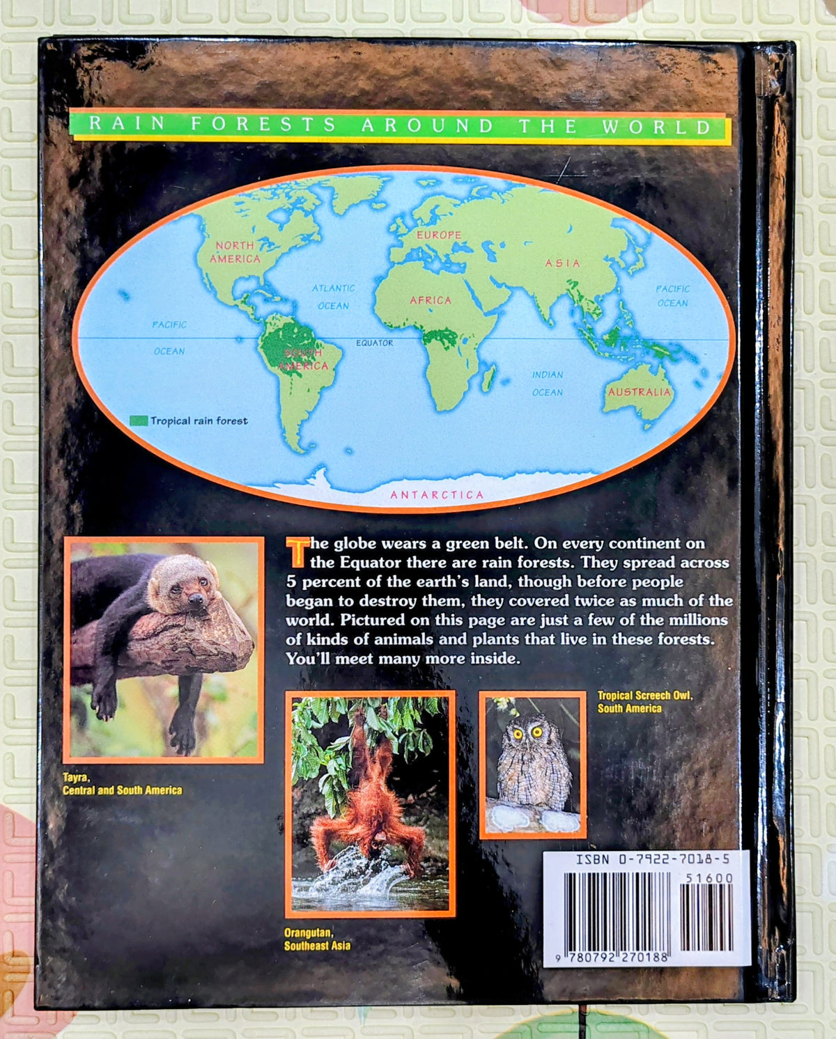 Destination: Rainforest by Jonathan Grupper | National Geographic