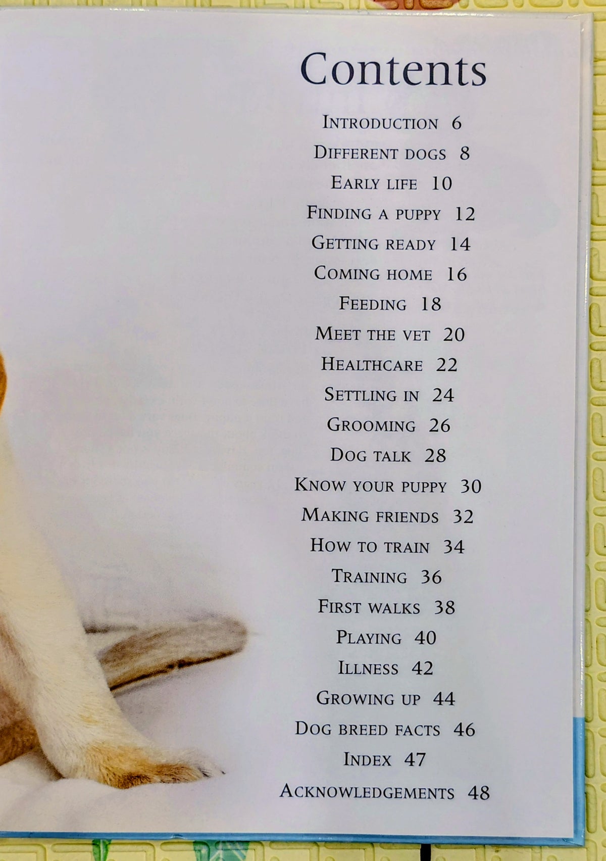 Puppy Care by DK | Pet Care Guide