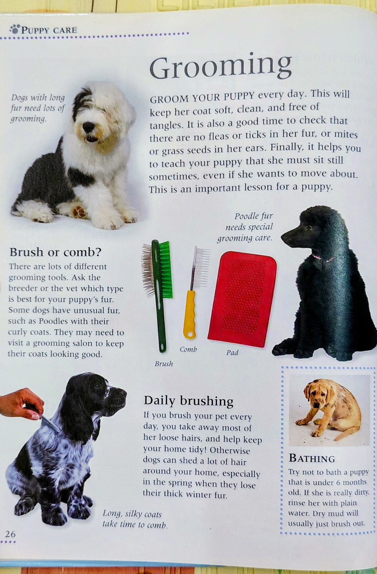 Puppy Care by DK | Pet Care Guide