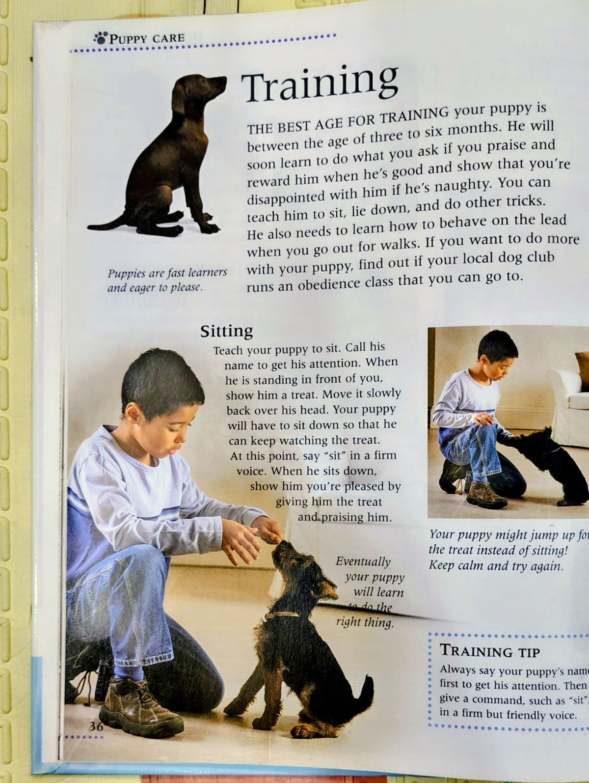 Puppy Care by DK | Pet Care Guide