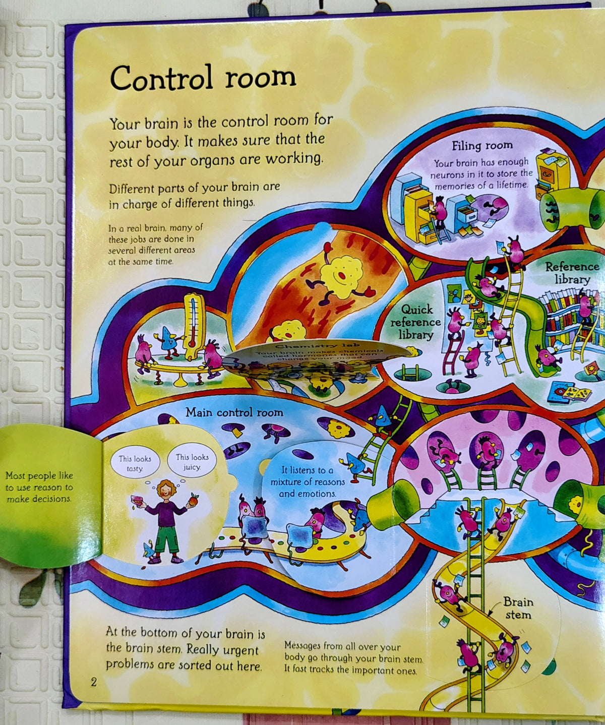 See inside Your Head by Alex Frith and Colin King | Usborne Lift the Flap