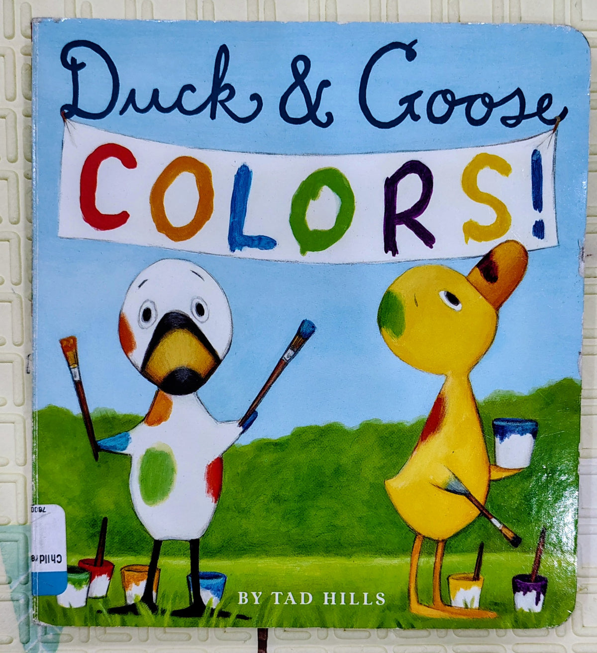 Duck & Goose Colors! by Tad Hills | New York Bestseller
