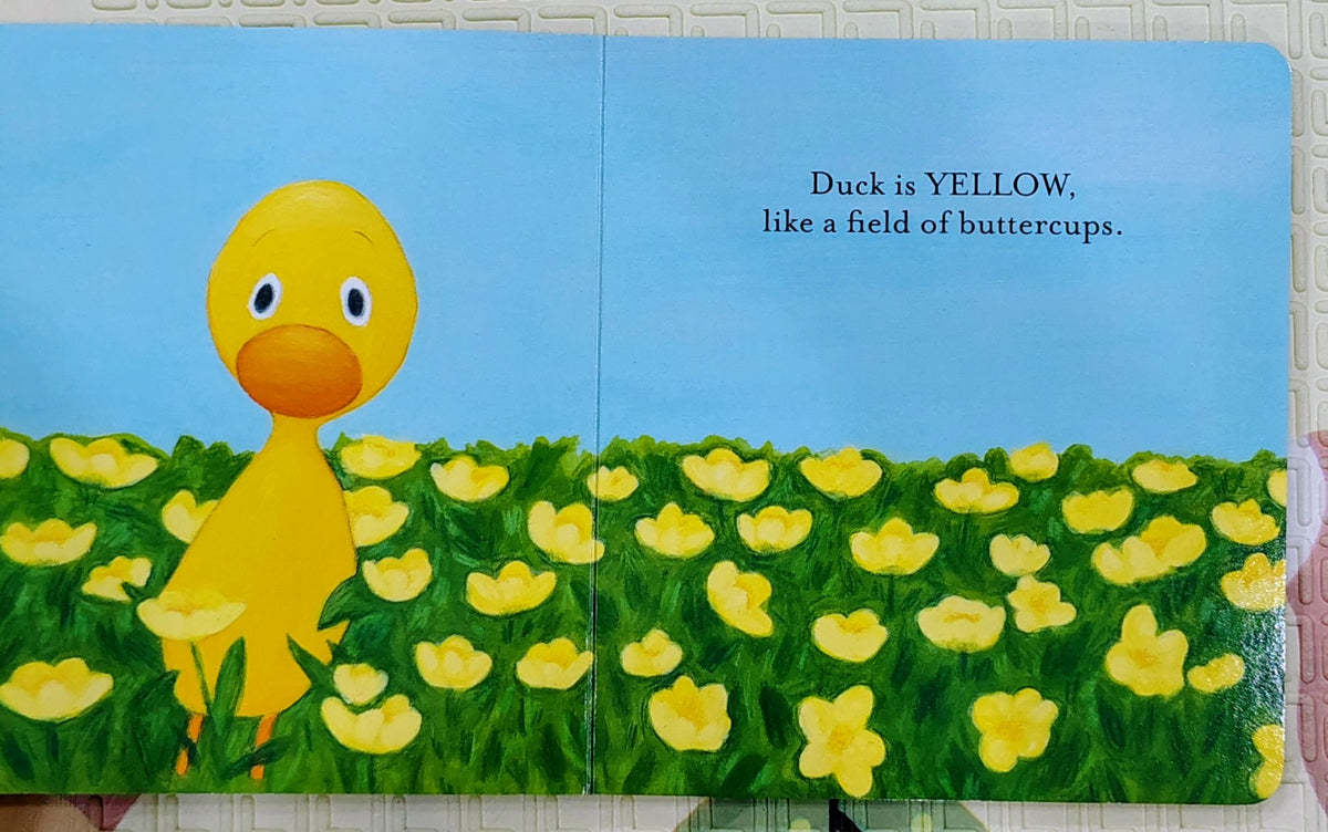 Duck & Goose Colors! by Tad Hills | New York Bestseller