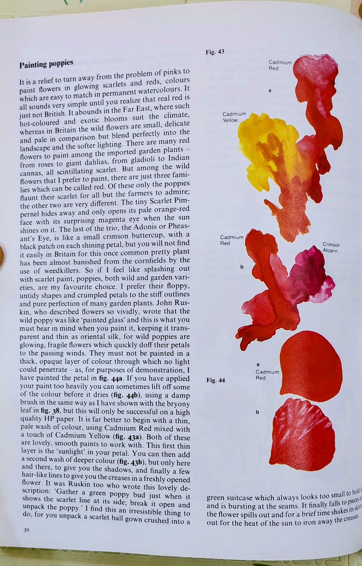 Flowers in Watercolour by Marjorie Blamey | Collins | Art Instruction