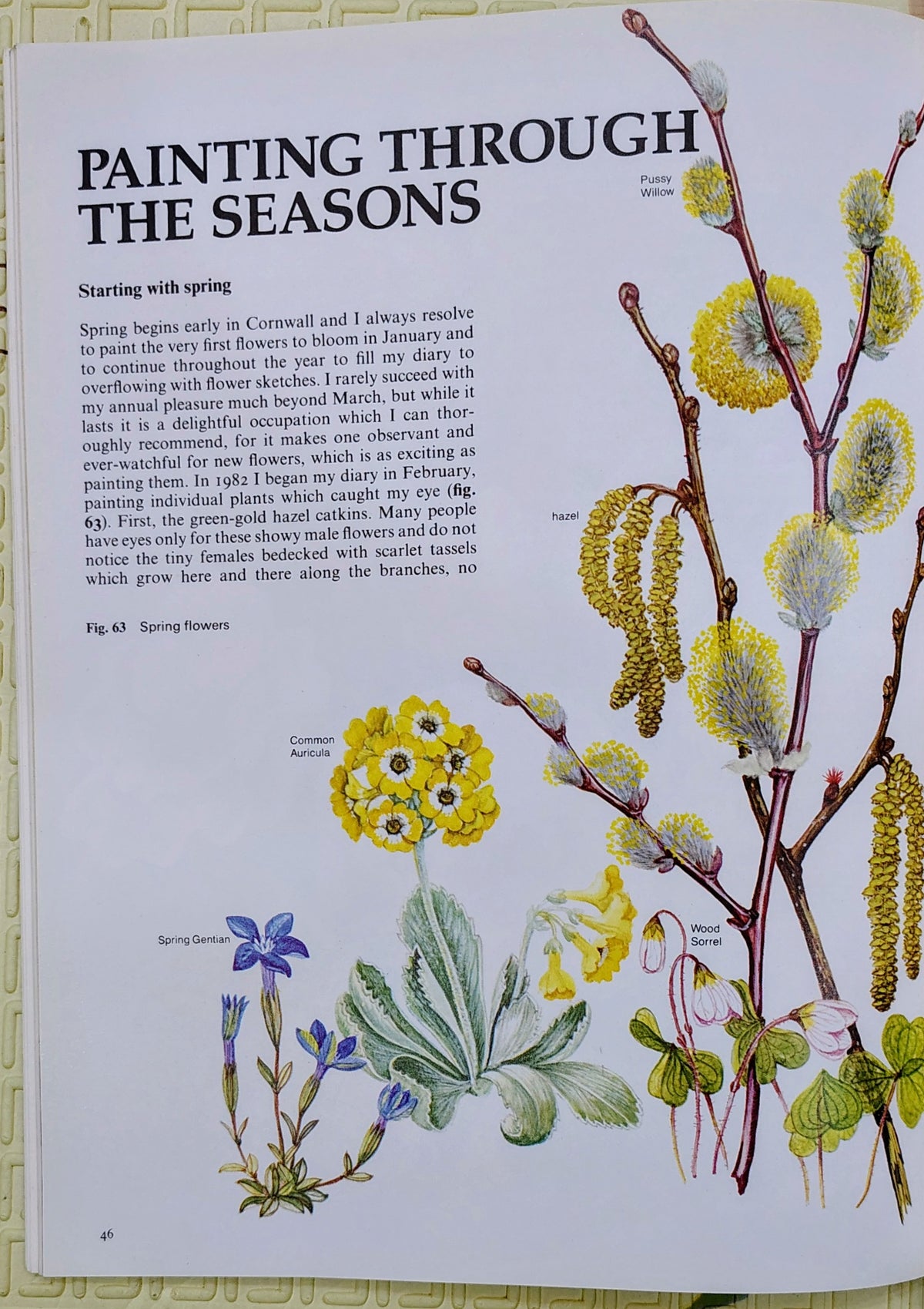Flowers in Watercolour by Marjorie Blamey | Collins | Art Instruction