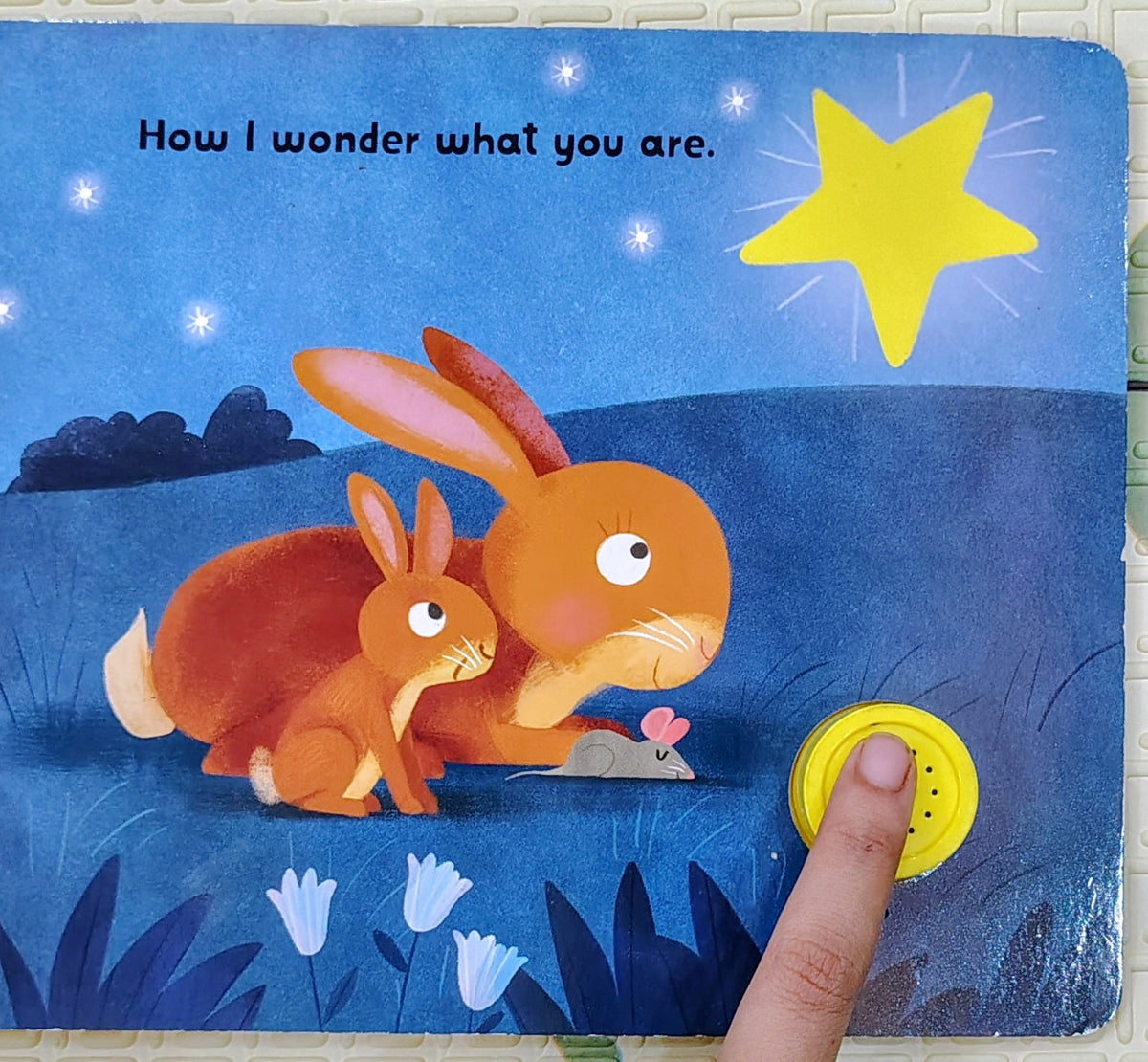 Twinkle Twinkle Little Star by Seb Braun | Sound Book