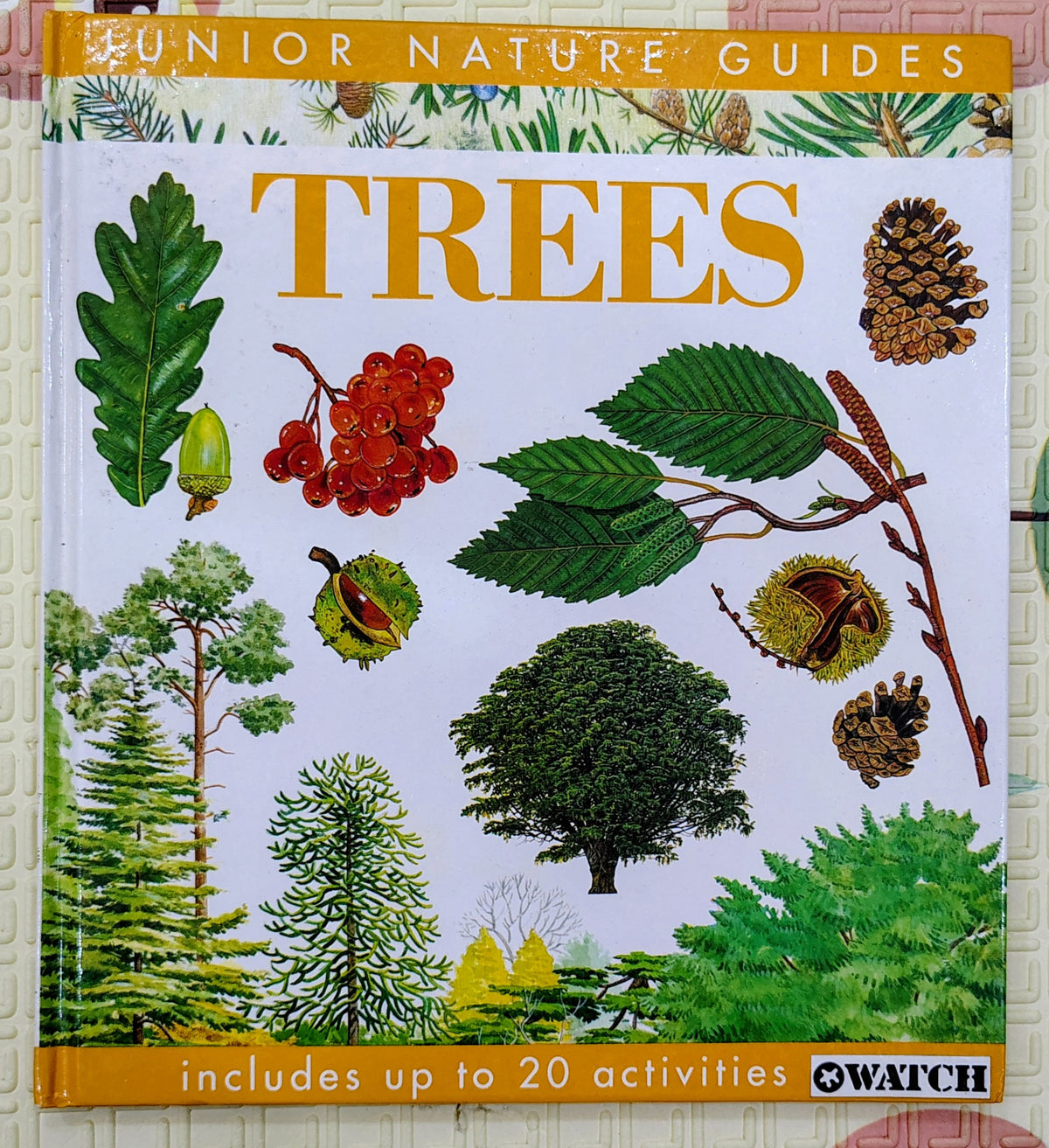 Junior Nature Guides: Trees by Watch | Nature Guides