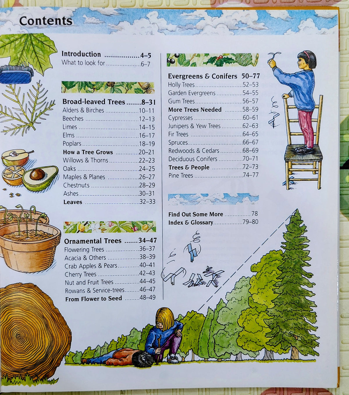 Junior Nature Guides: Trees by Watch | Nature Guides