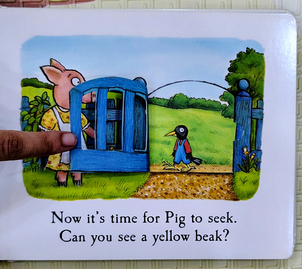 Hide-and-Seek Pig by Julia Donaldson and Axel Scheffler | Macmillan | Lift-The-Flap