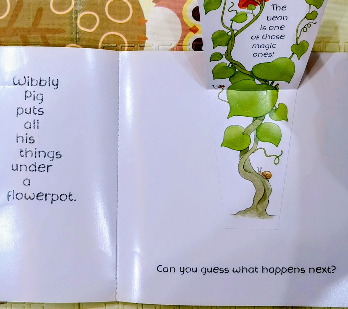 In Wibbly's Garden by Mick Inkpen | Lift-the-Flap