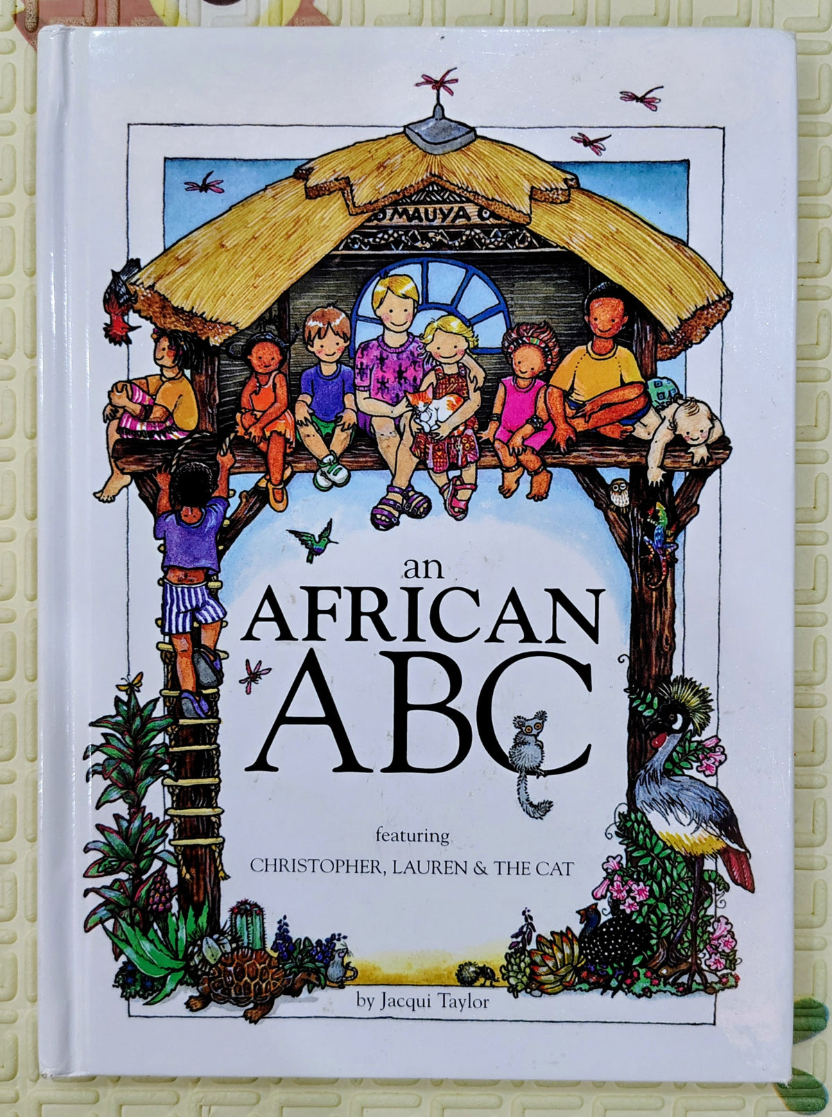 An African ABC by Jacqui Taylor