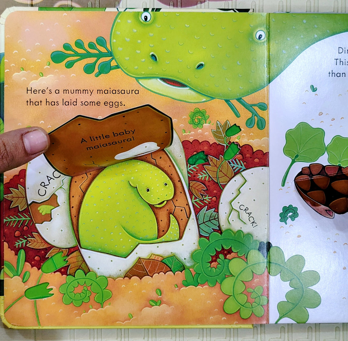 Peep Inside Dinosaurs by Usborne | Lift the Flap and Peek through