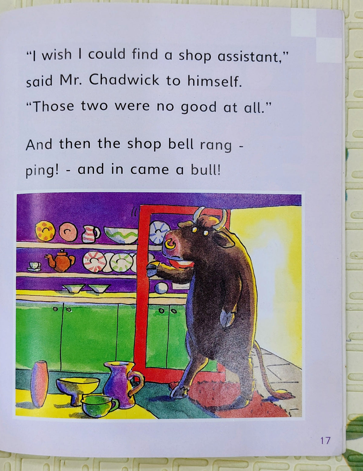 Bull in a China Shop by Gill Munton | Ruth Miskin's Superphonics