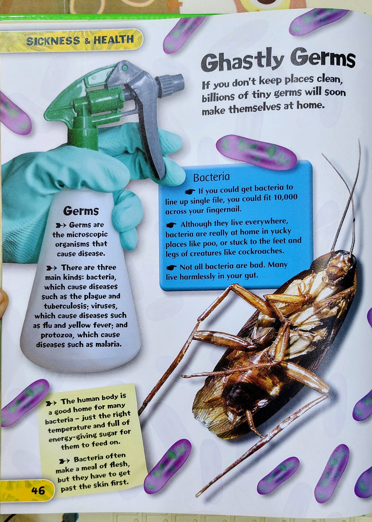 1000s of Freaky, Scary, Gross, Incredible and Simply Unbelievable True Facts! | Non-Fiction