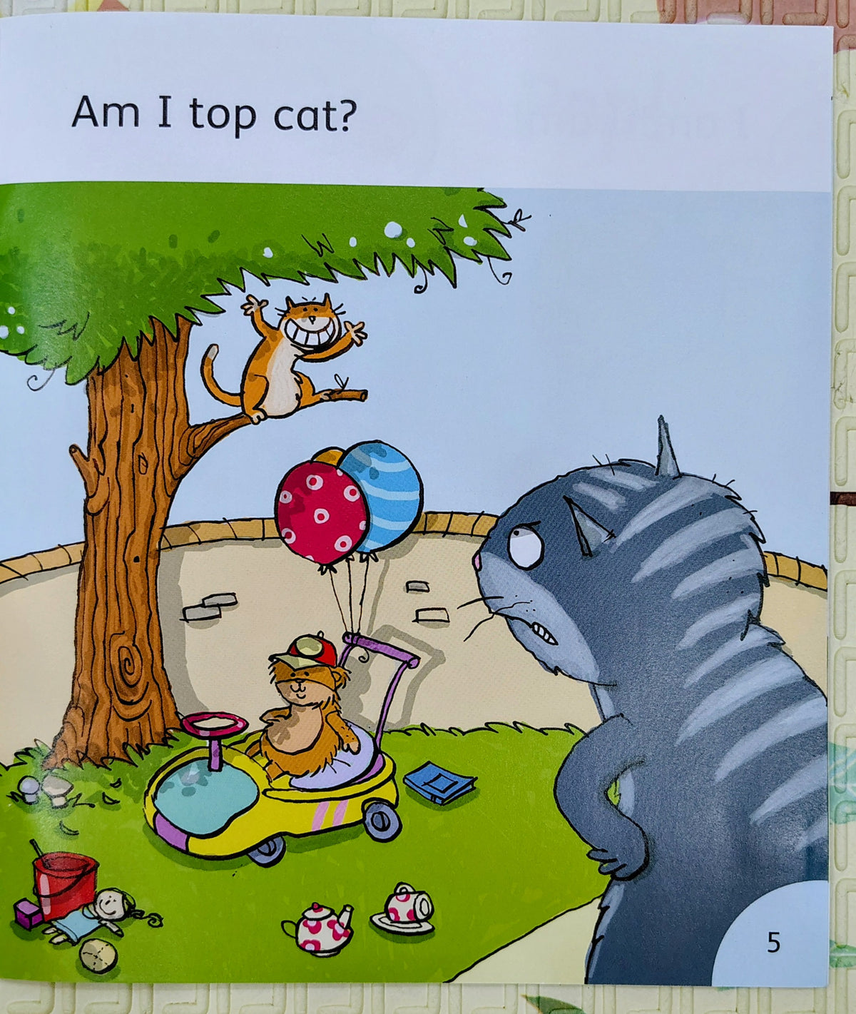Top Cat by Julia Donaldson | Oxford Level 1