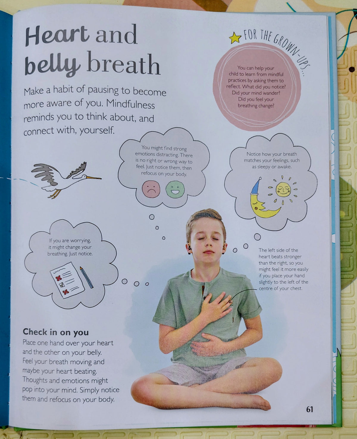 Calm: Mindfulness for Kids by Wynnekinder | DK | Wellness