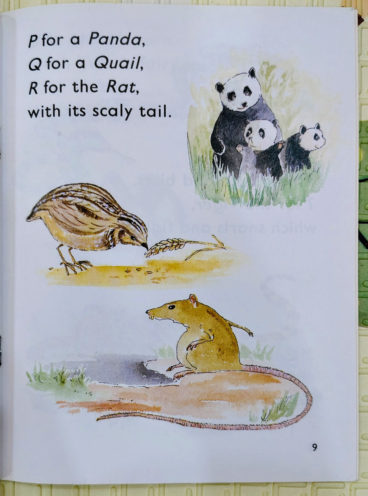 Alphabet Poems compiled by John Foster | Oxford Stage 1