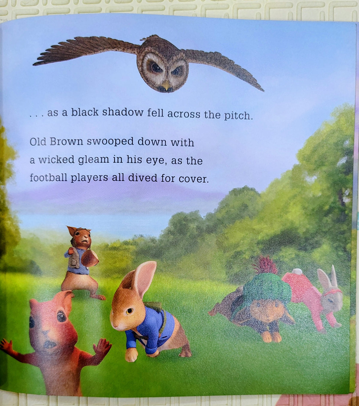 Peter Rabbit Football Fever! | As seen on TV | Puffin