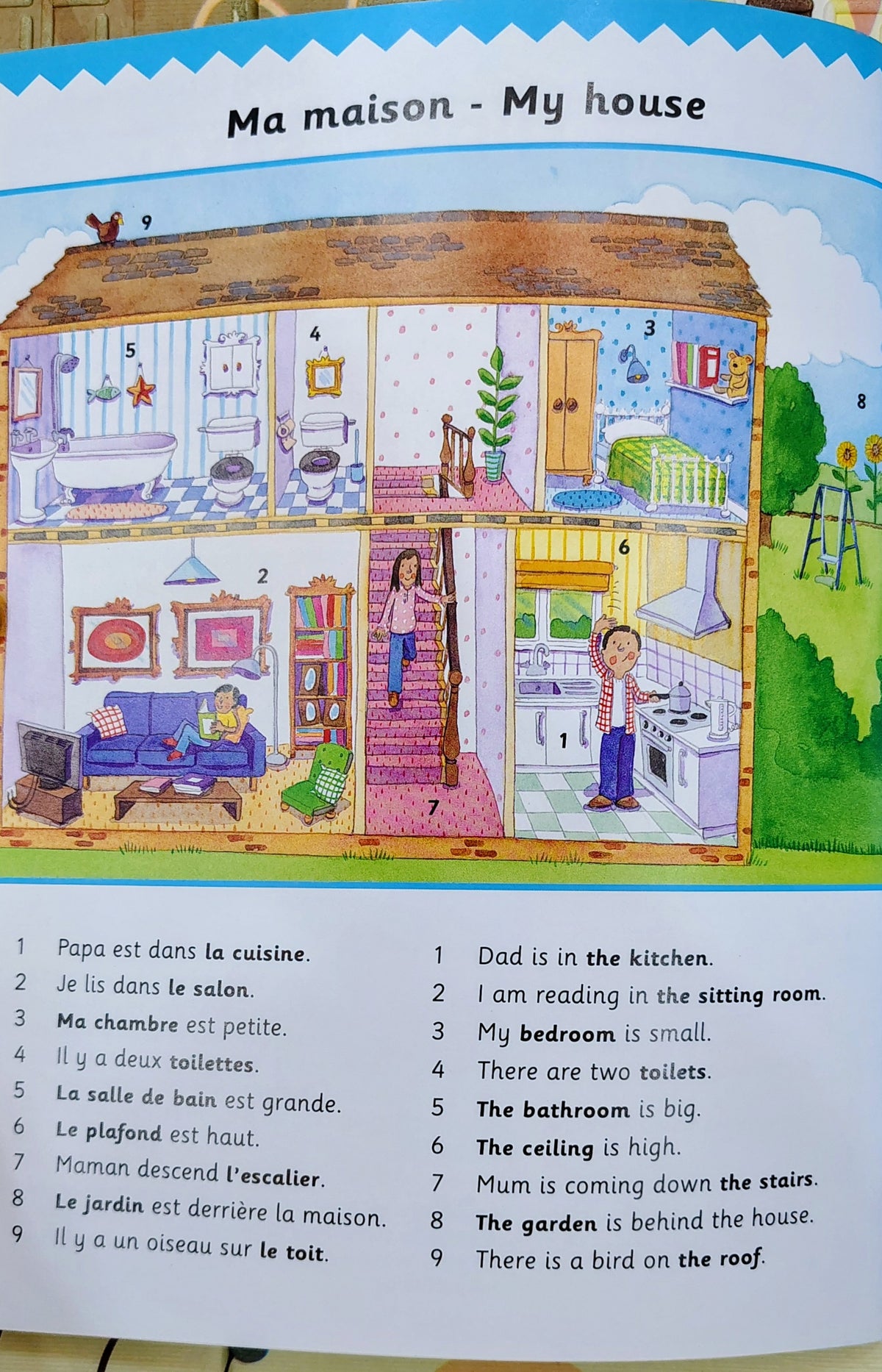 More Hide & Speak French | Language Learning