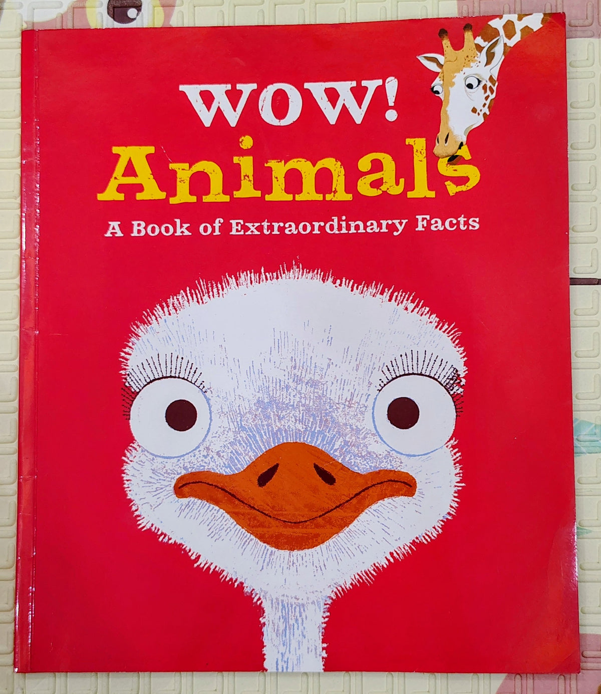 WOW! Animals: A Book of Extraordinary Facts | Kingfisher