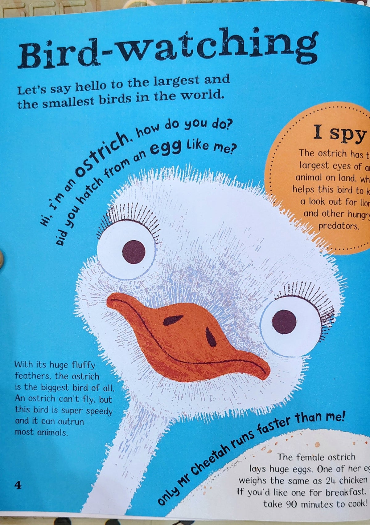 WOW! Animals: A Book of Extraordinary Facts | Kingfisher