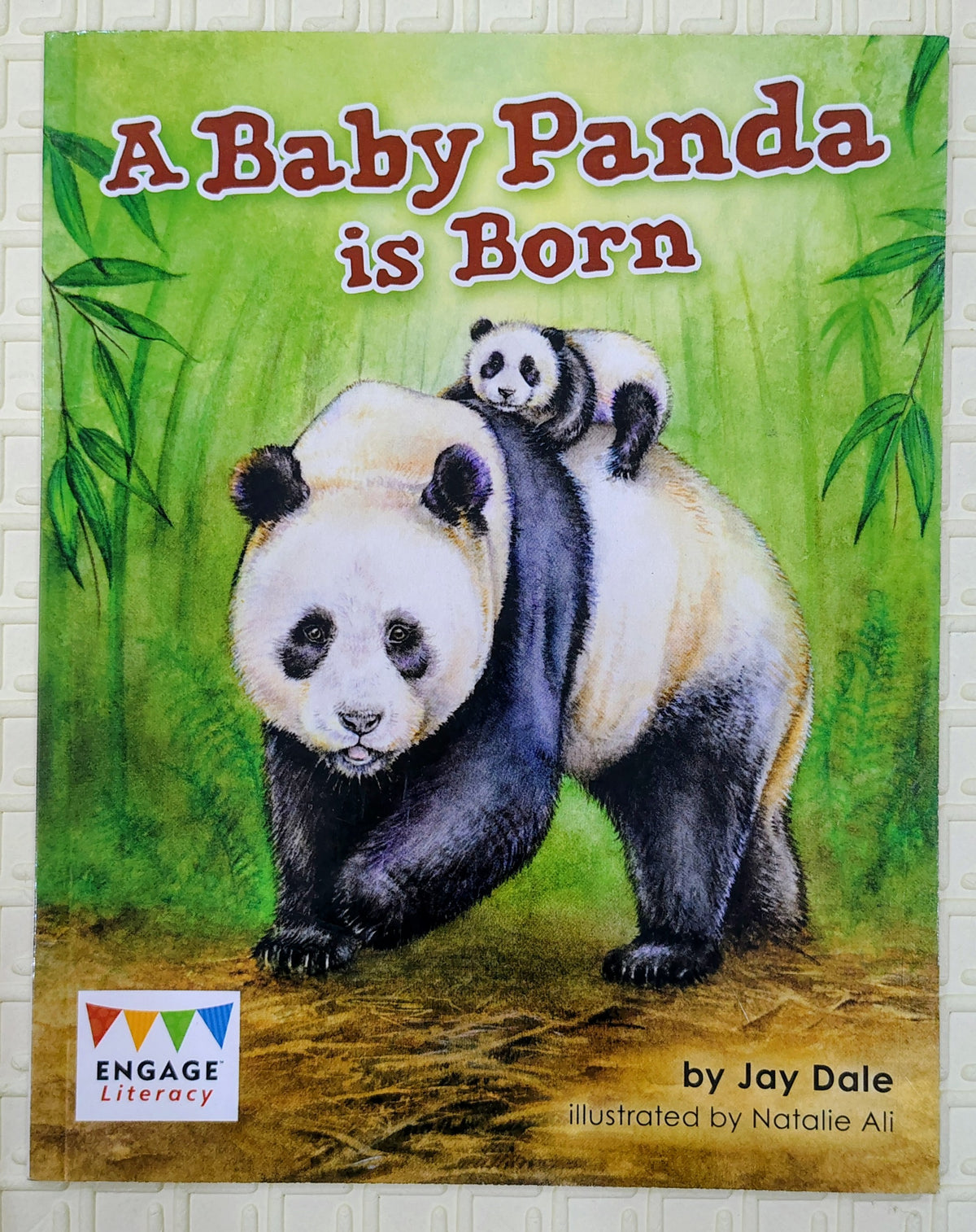 A Baby Panda is Born by Jay Dale | Engage Literacy | Non-Fiction