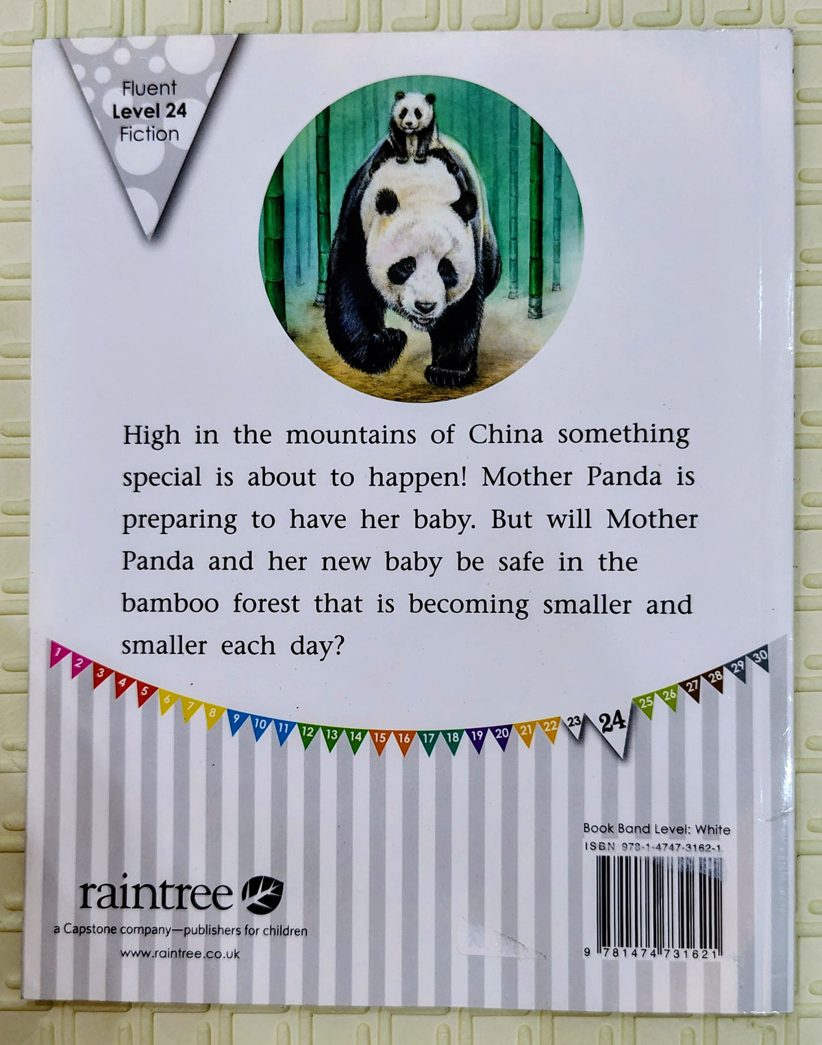 A Baby Panda is Born by Jay Dale | Engage Literacy | Non-Fiction
