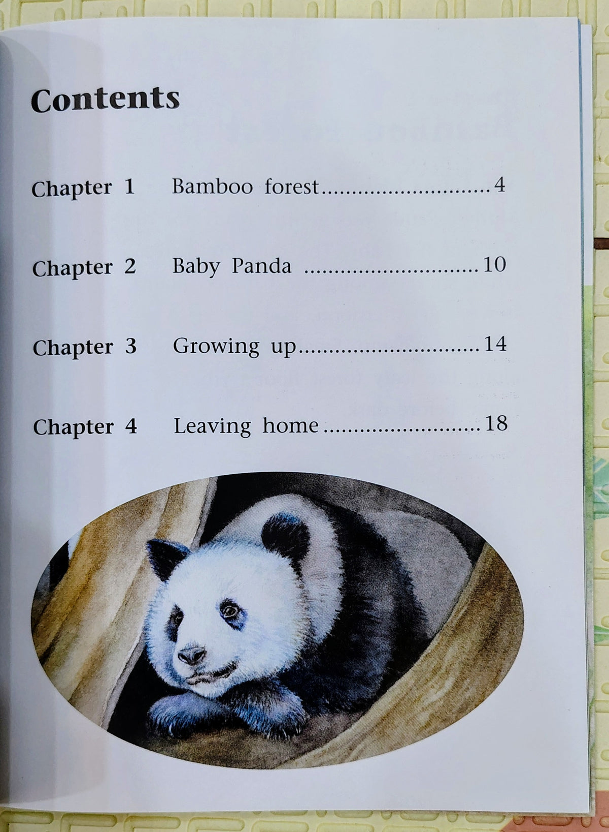 A Baby Panda is Born by Jay Dale | Engage Literacy | Non-Fiction