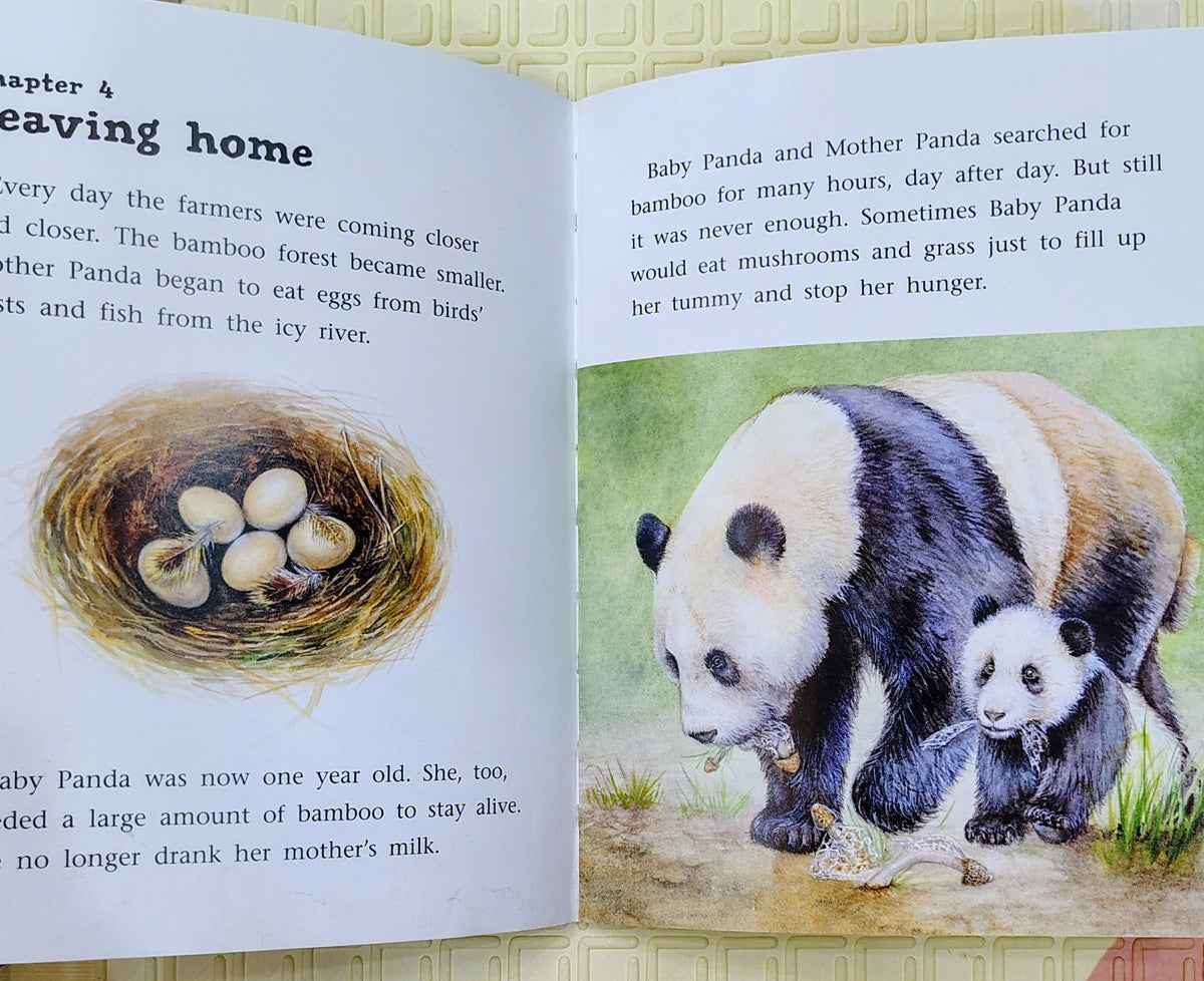 A Baby Panda is Born by Jay Dale | Engage Literacy | Non-Fiction