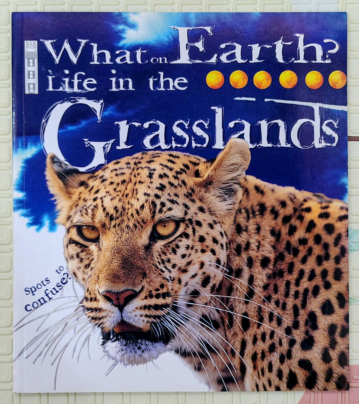 What on Earth? Life in the Grasslands by Book House | Book House