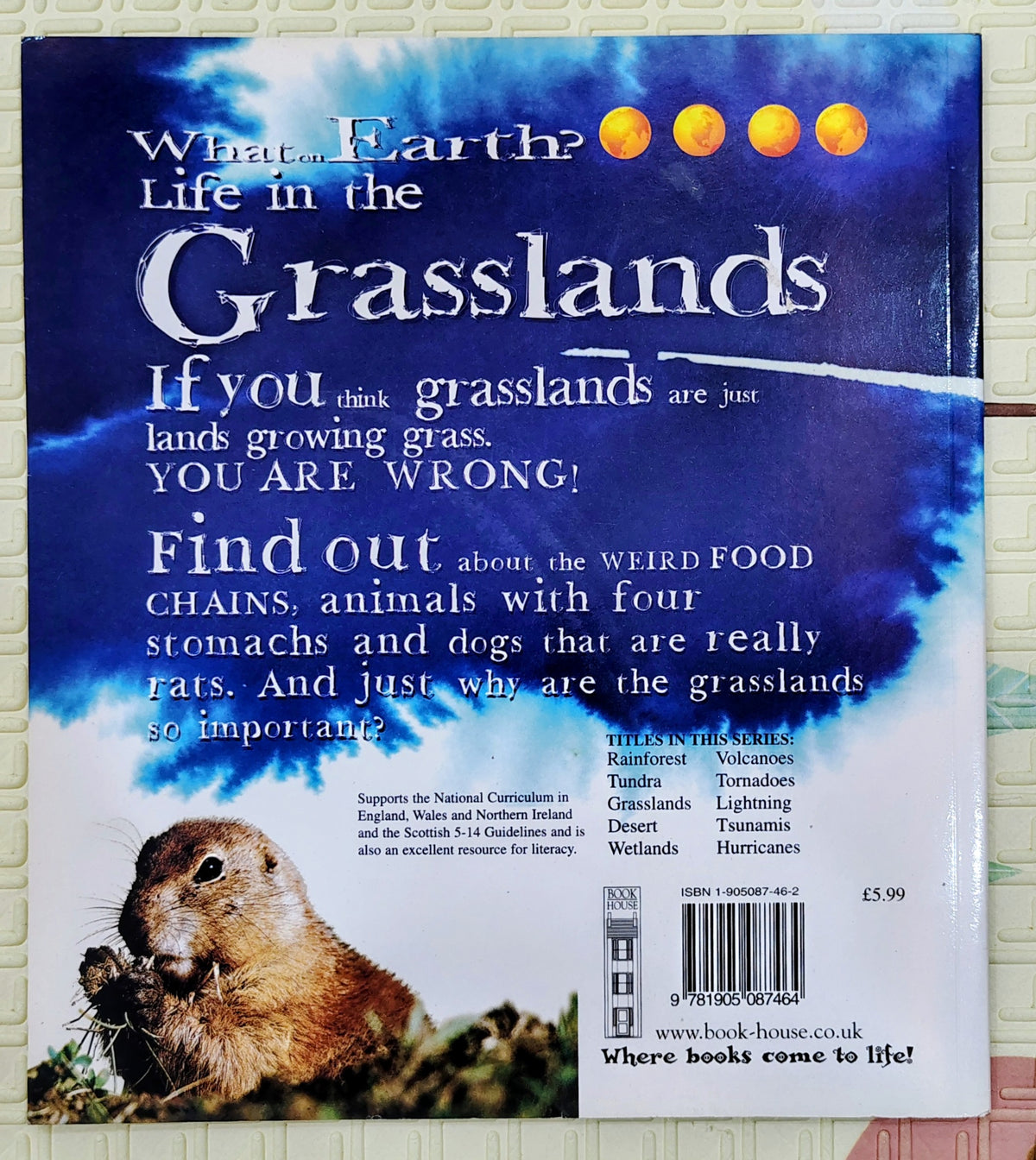 What on Earth? Life in the Grasslands by Book House | Book House
